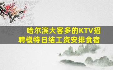 哈尔滨大客多的KTV招聘模特日结工资安排食宿